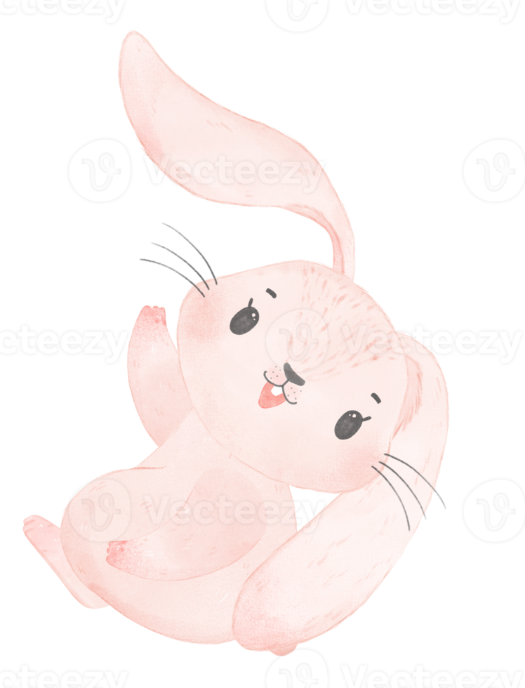 cute watercolor pink baby rabbit bunny cartoon animal hand painting png