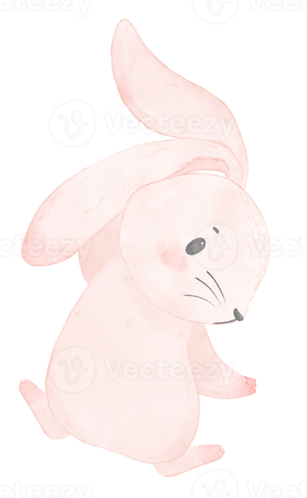 cute watercolor pink baby rabbit bunny cartoon animal hand painting png