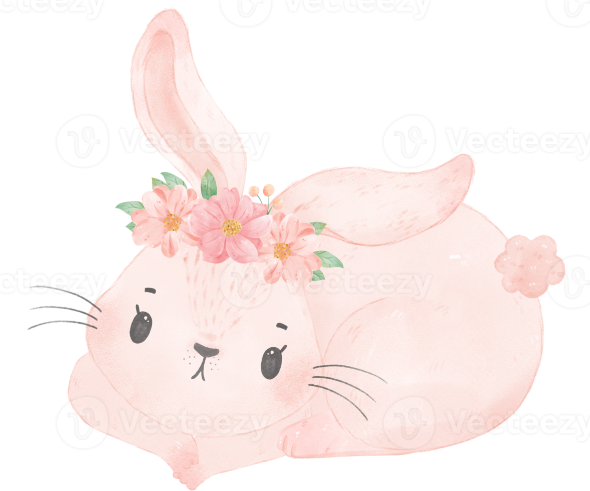 cute sweet princess baby pink bunny rabbit with floral crown watercolor png