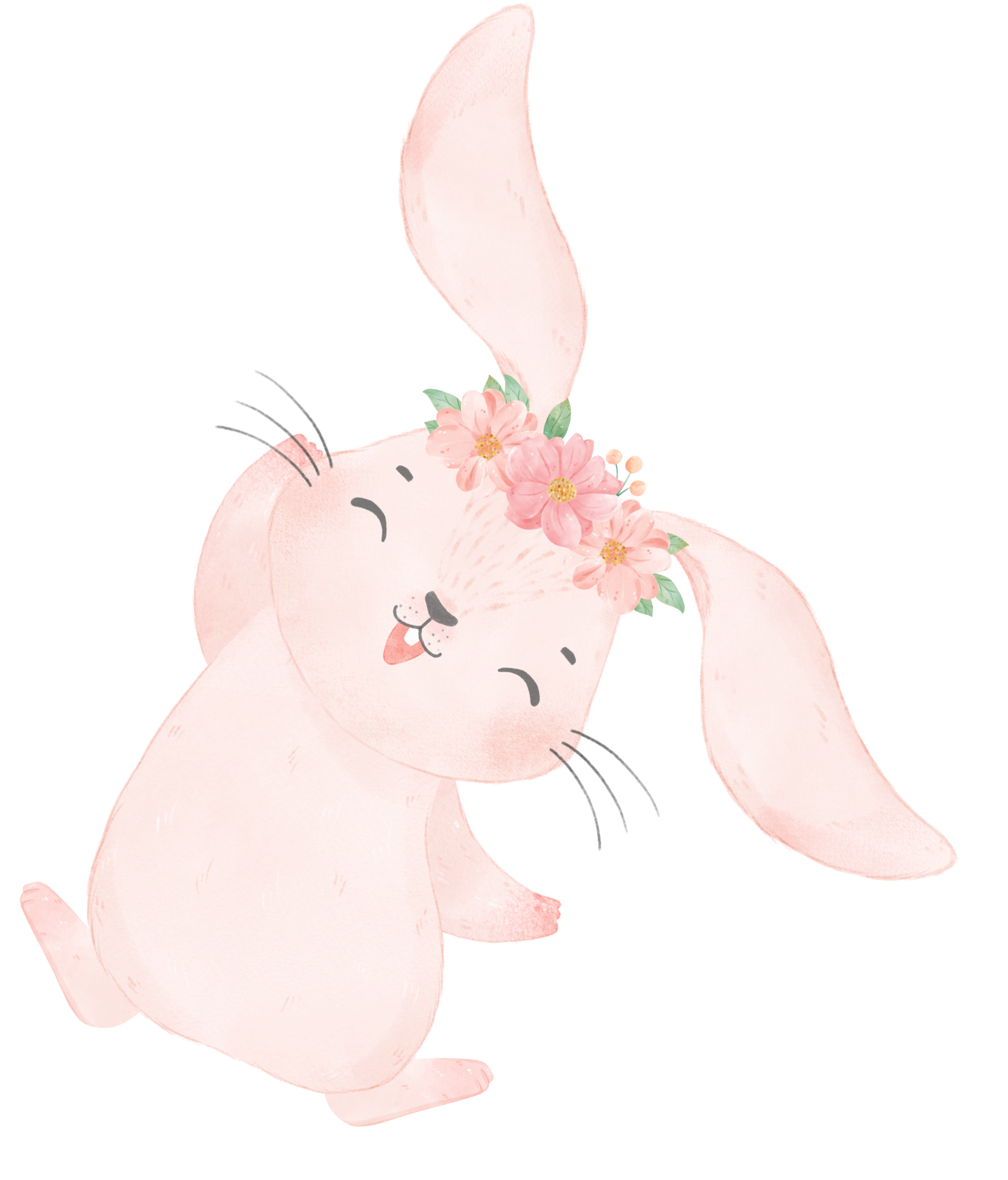 Baby pink in rabbit-