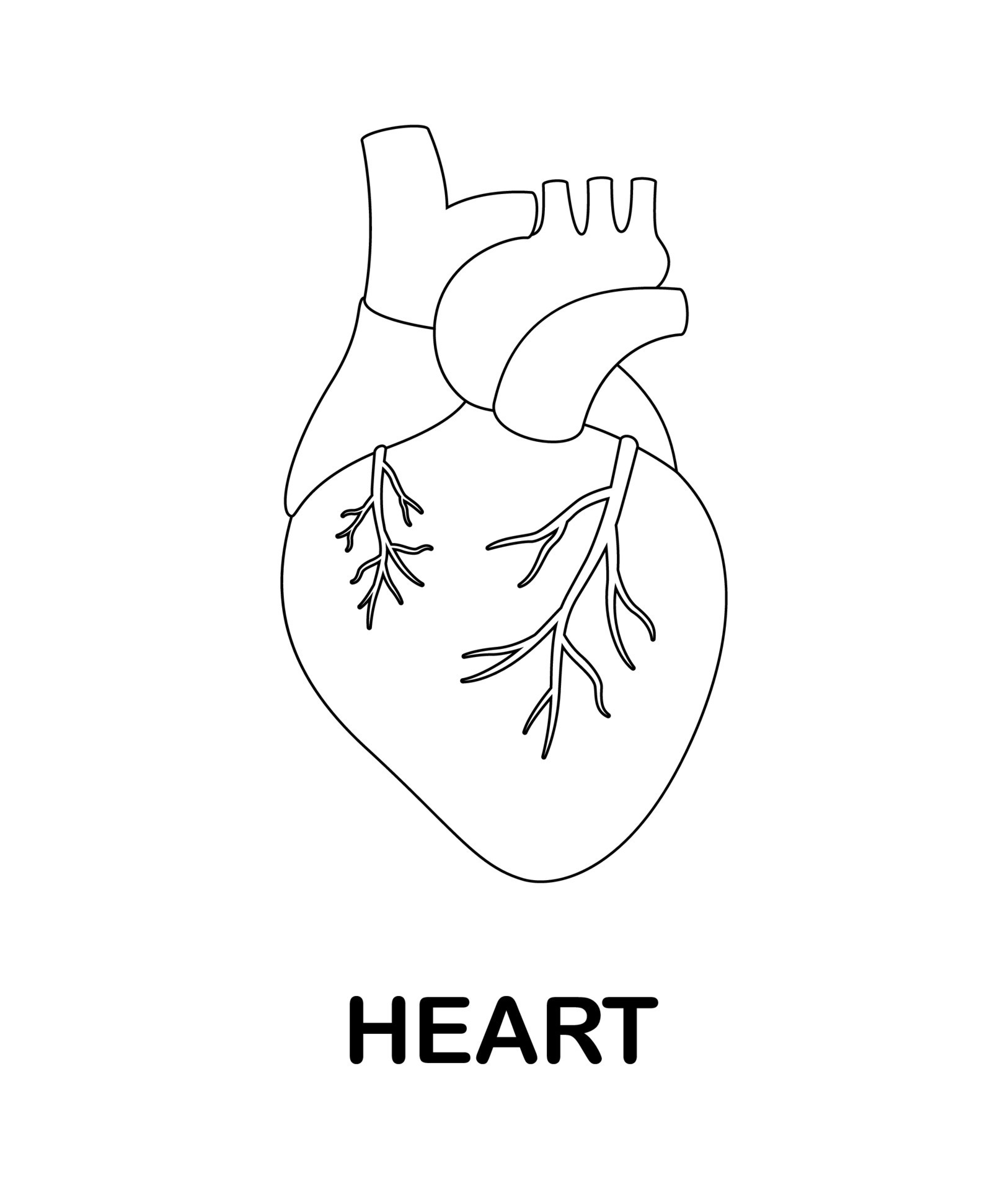 página para colorear con corazón humano para niños 9366329 Vector en Vecteezy página para colorear con corazón humano para niños 9366329 Vector en Vecteezy