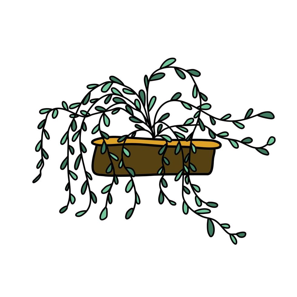 dibujo de garabato coloreado de una planta en una maceta vector