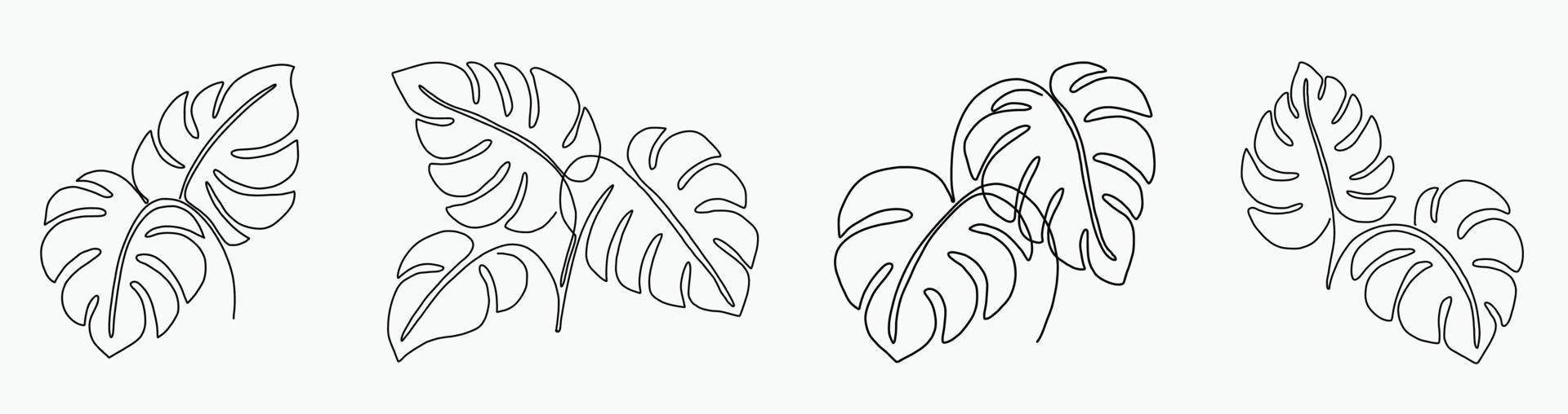 Simplicity monstera leaf freehand continuous line drawing flat design. vector