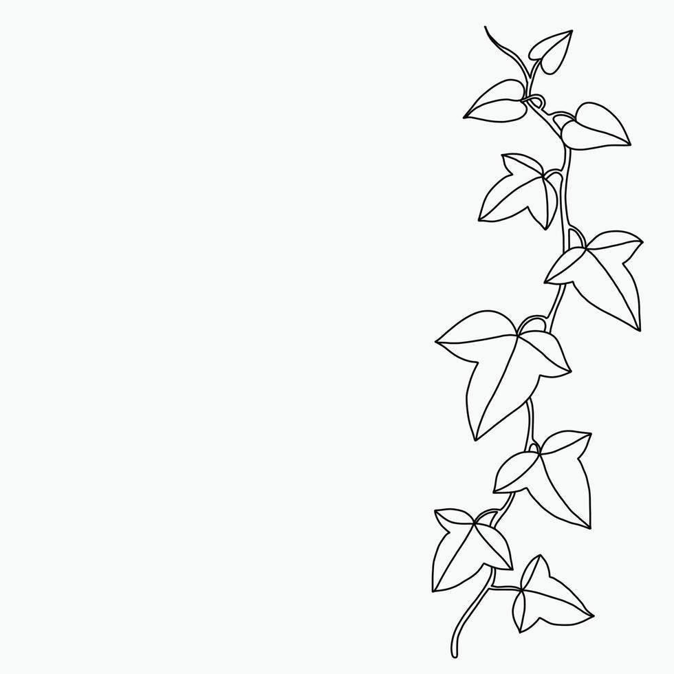 Simplicity ivy freehand drawing flat design. vector