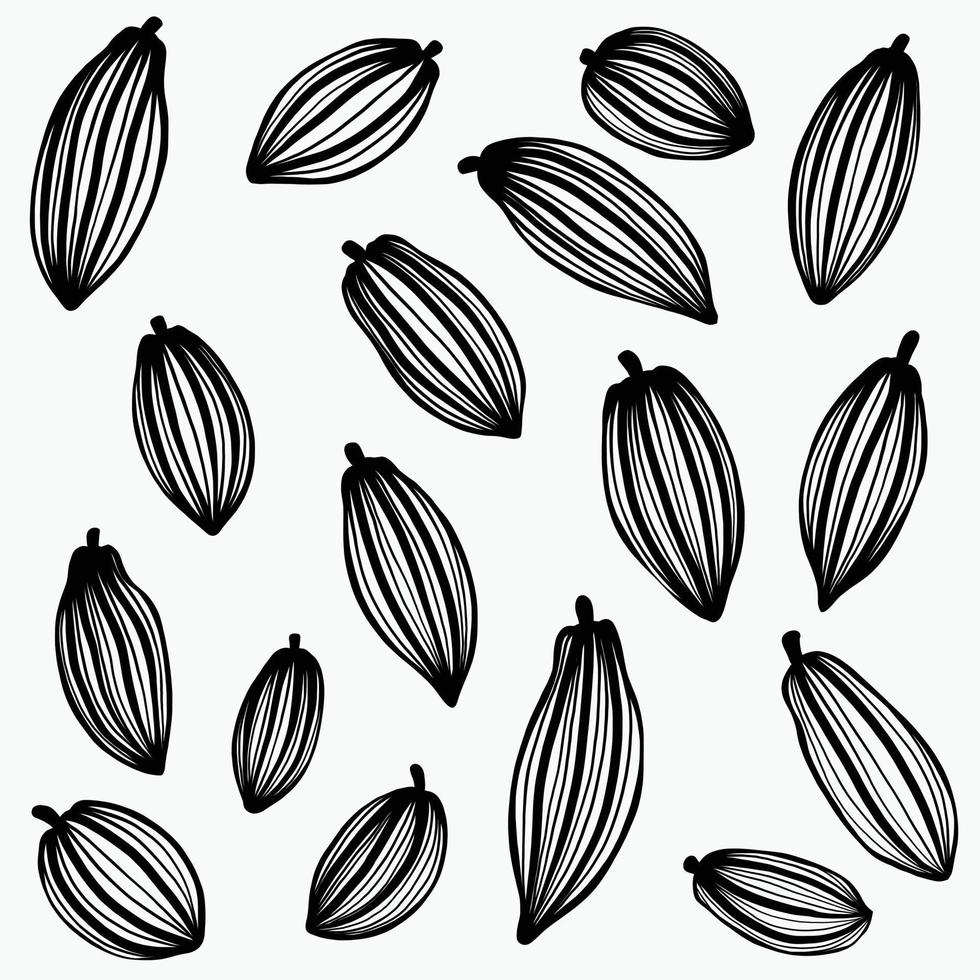 Cacao pods which is raw ingredient for chocolate freehand drawing. vector