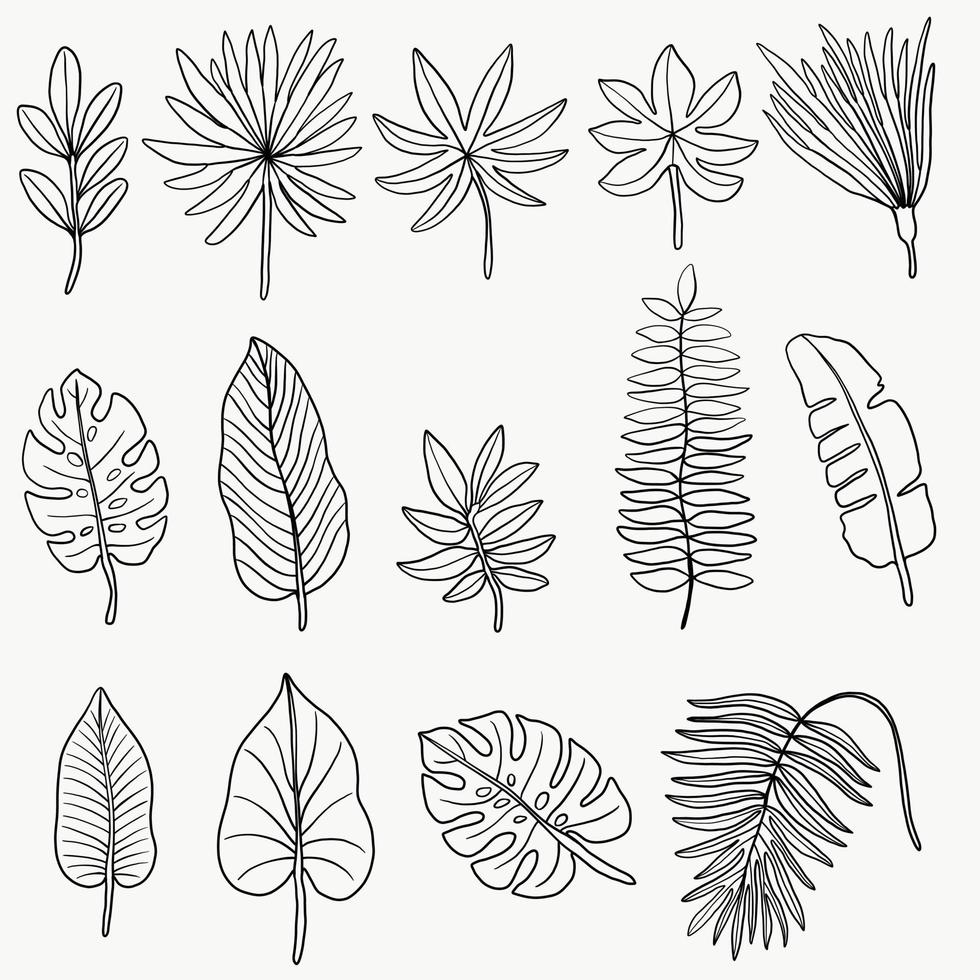 Simplicity floral freehand continuous line drawing flat design. vector