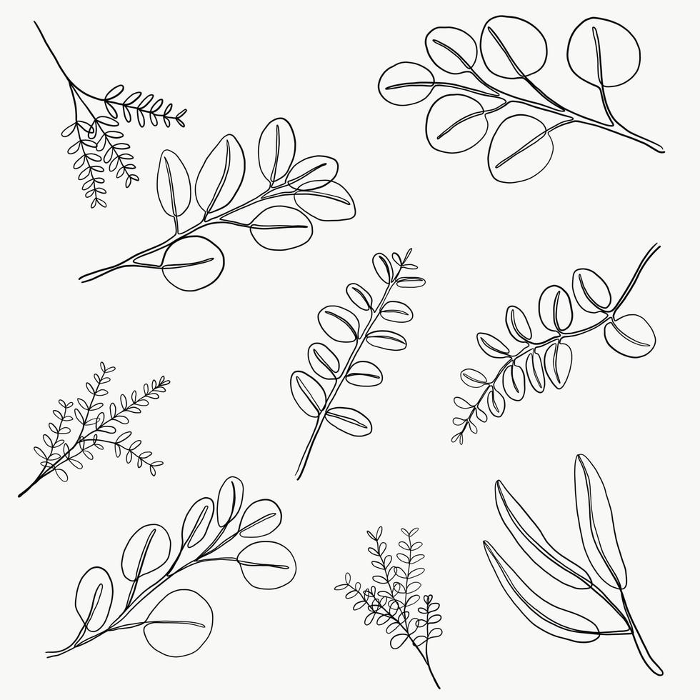 Simplicity floral freehand continuous line drawing flat design. vector