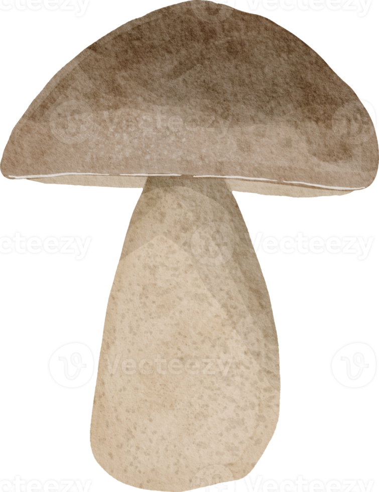 champignon dessiné à la main aquarelle png