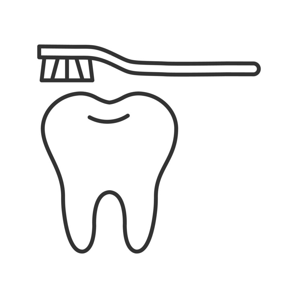 icono lineal de cepillado de dientes correcto. ilustración de línea delgada. diente con cepillo de dientes. símbolo de contorno dibujo de contorno aislado vectorial vector