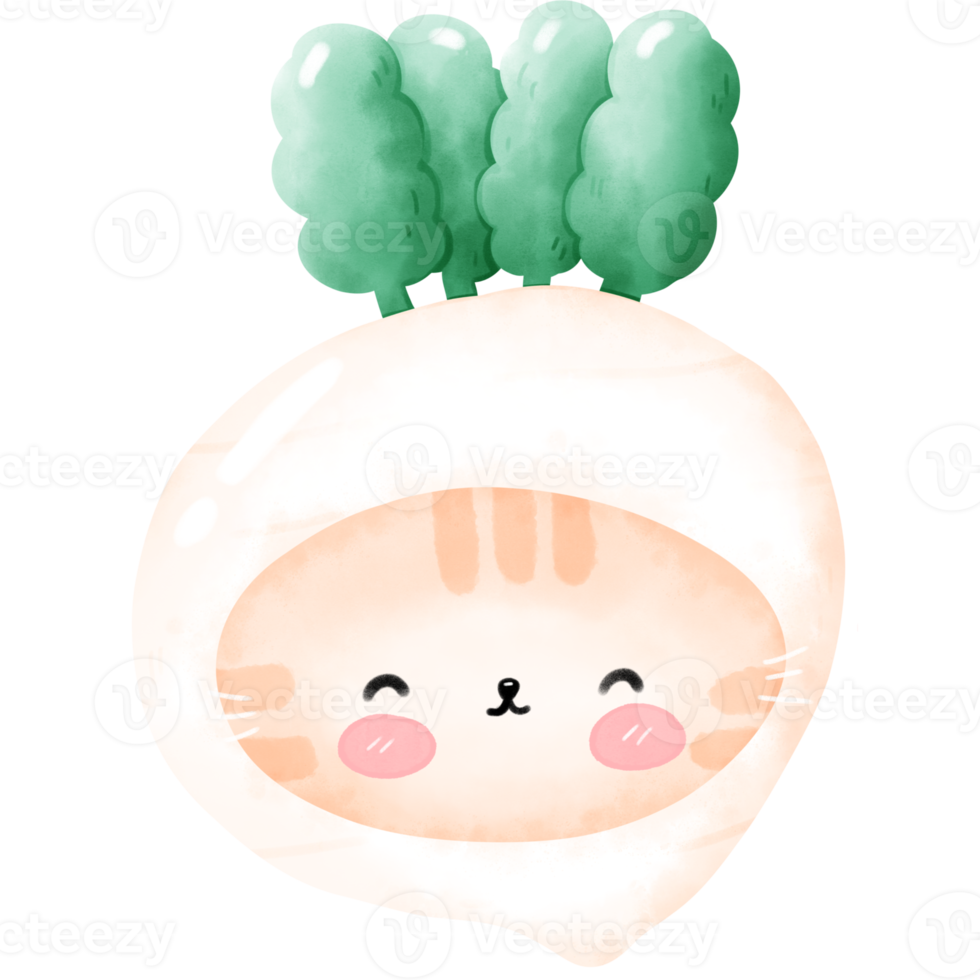 Cute cat vegetable png