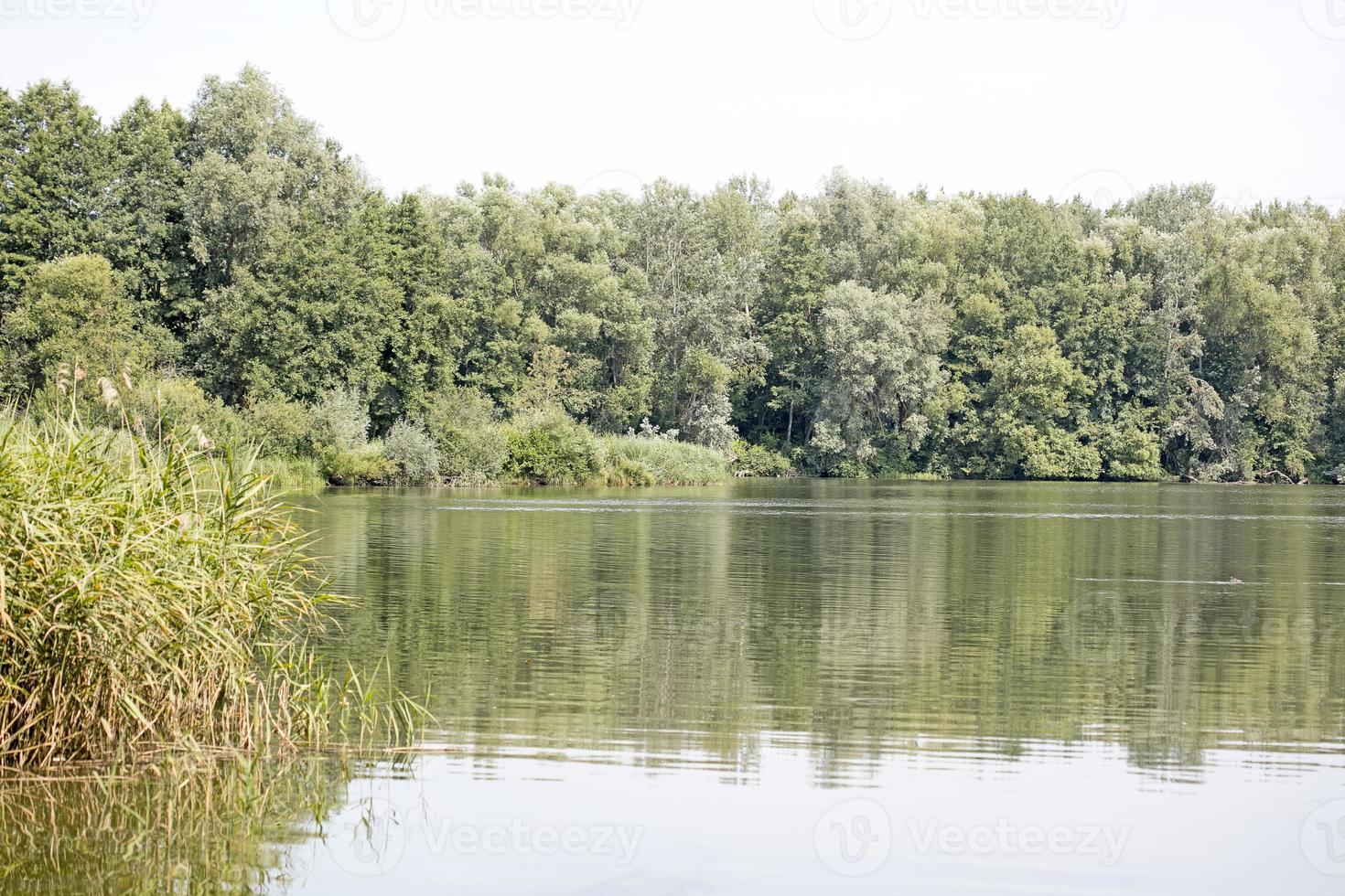 Lake with forest and summer camping tends holidays background fine art high quality prints products fifty megapixels Absberg photo