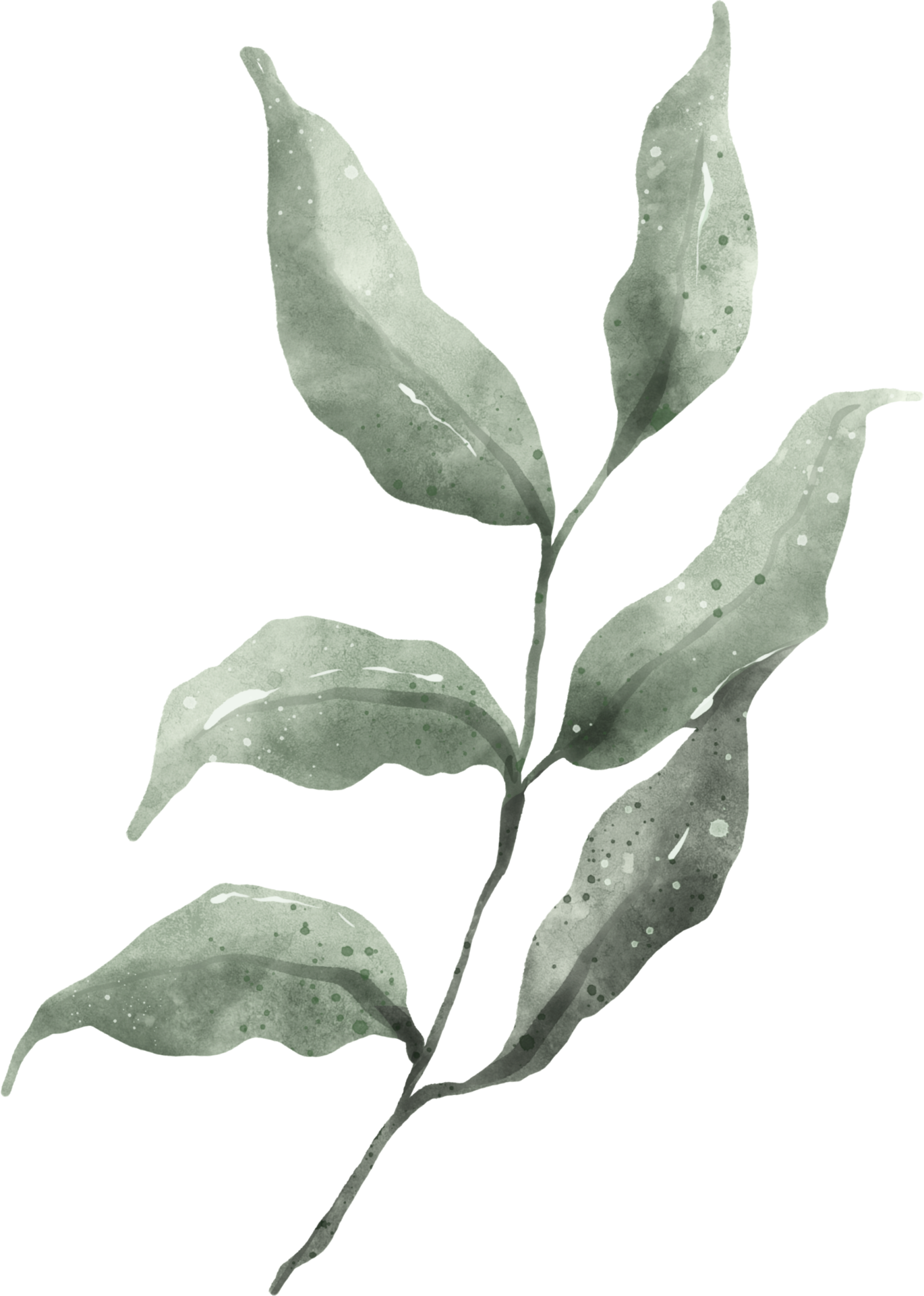 Greenery Leaf Watercolor 9369294 PNG