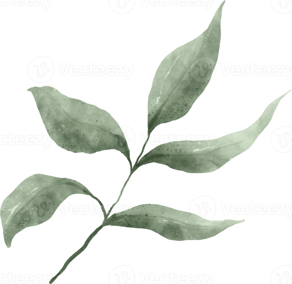 Greenery Leaf Watercolor png