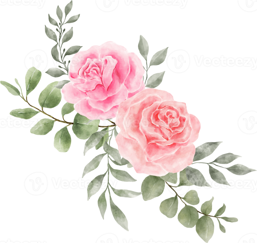 acquerello di composizione di bouquet di fiori di rose rosa png