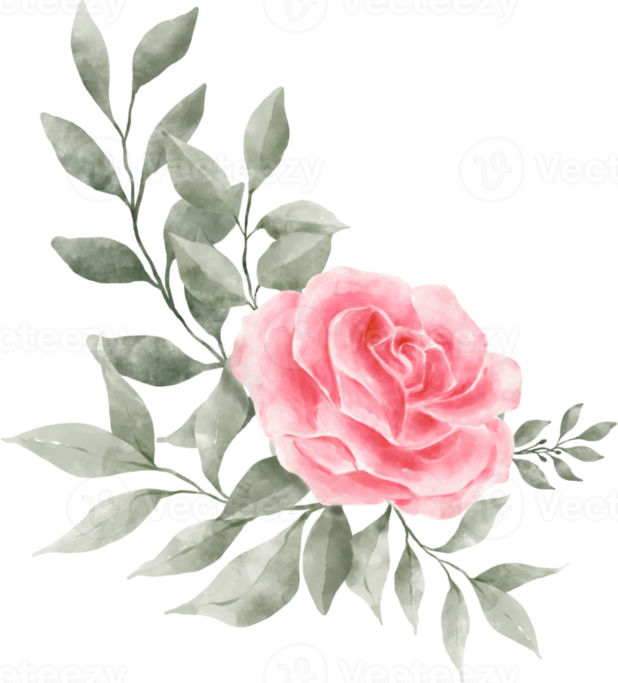 acquerello di composizione di bouquet di fiori di rose rosa png