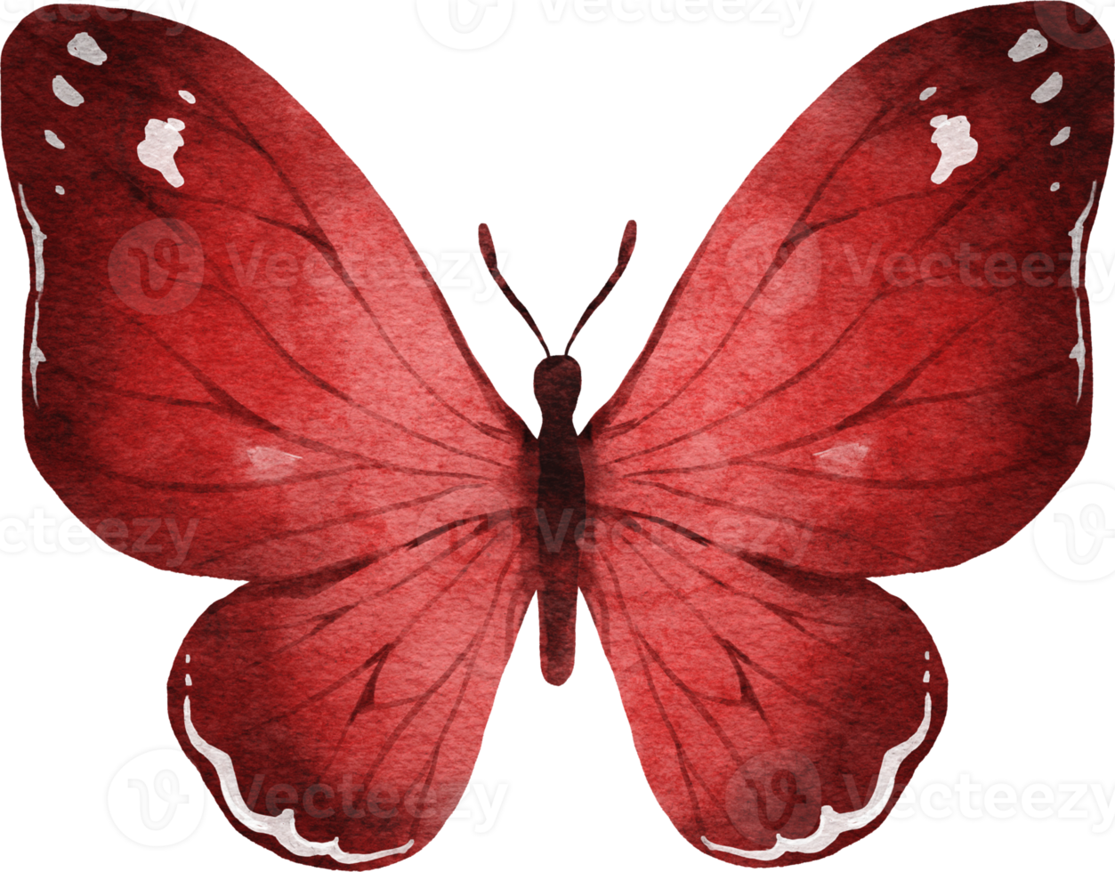 Butterfly Watercolor Illustration png