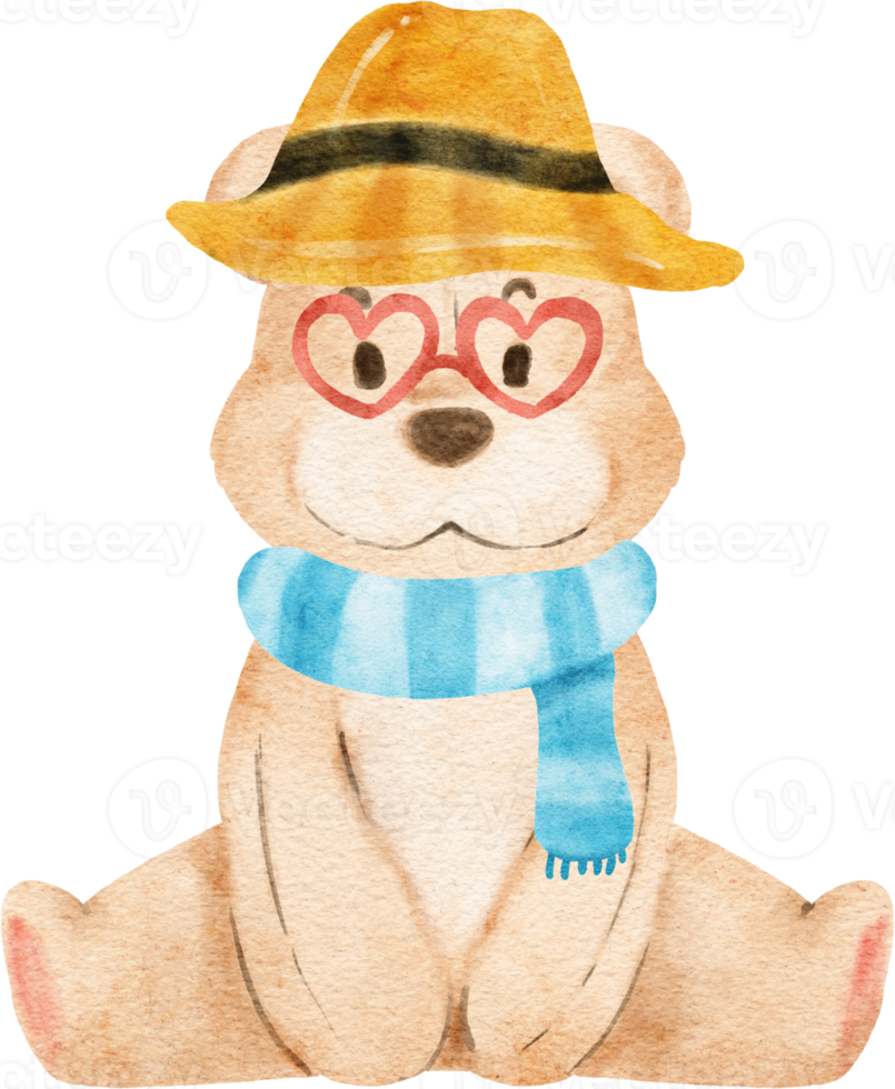 schattige teddybeer aquarel png