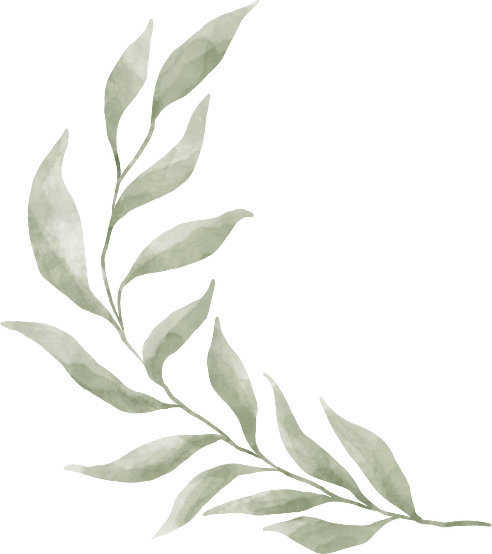 Greenery Leaf Watercolor 9369470 PNG