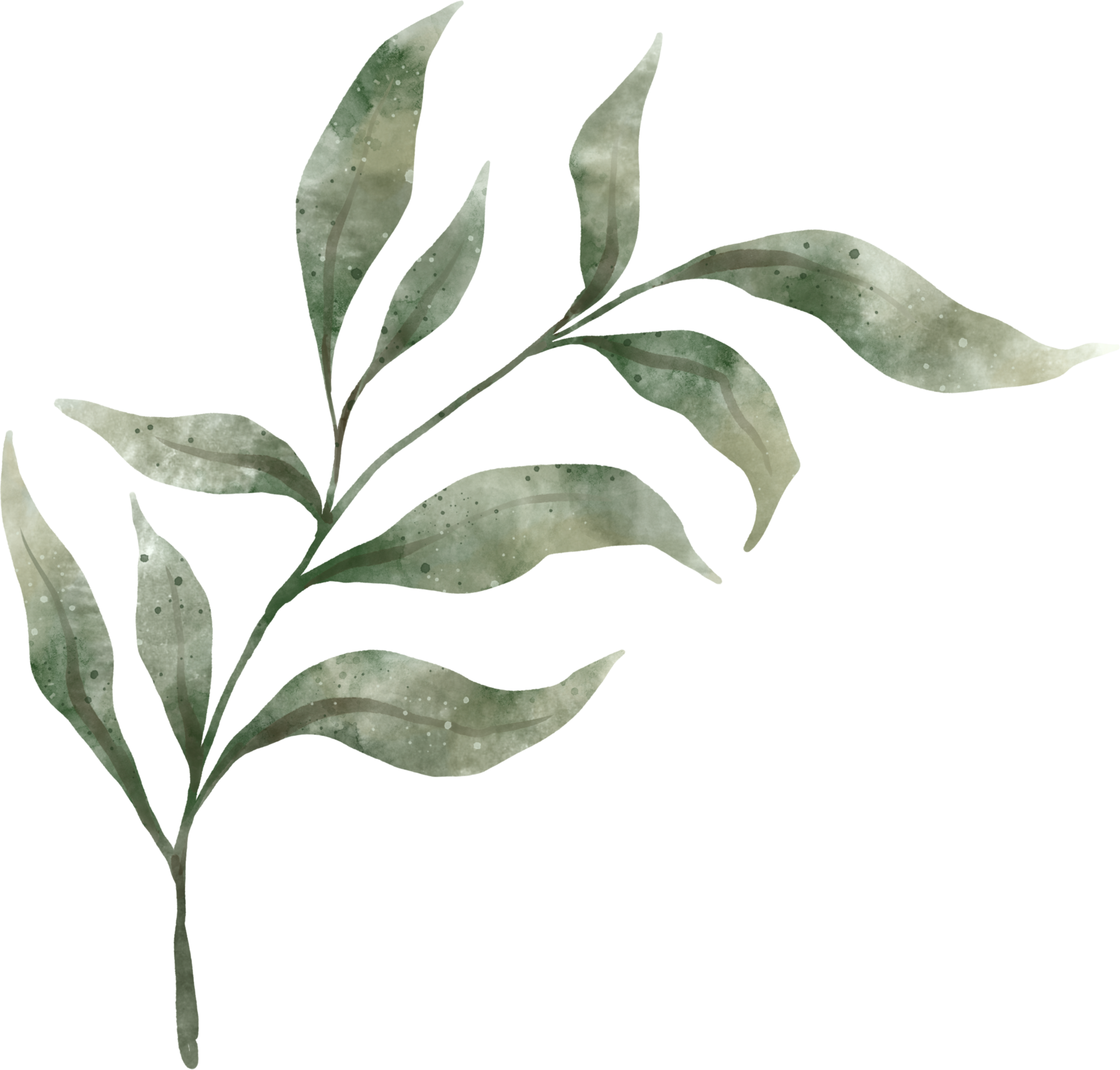 Greenery Leaf Watercolor 9369478 PNG