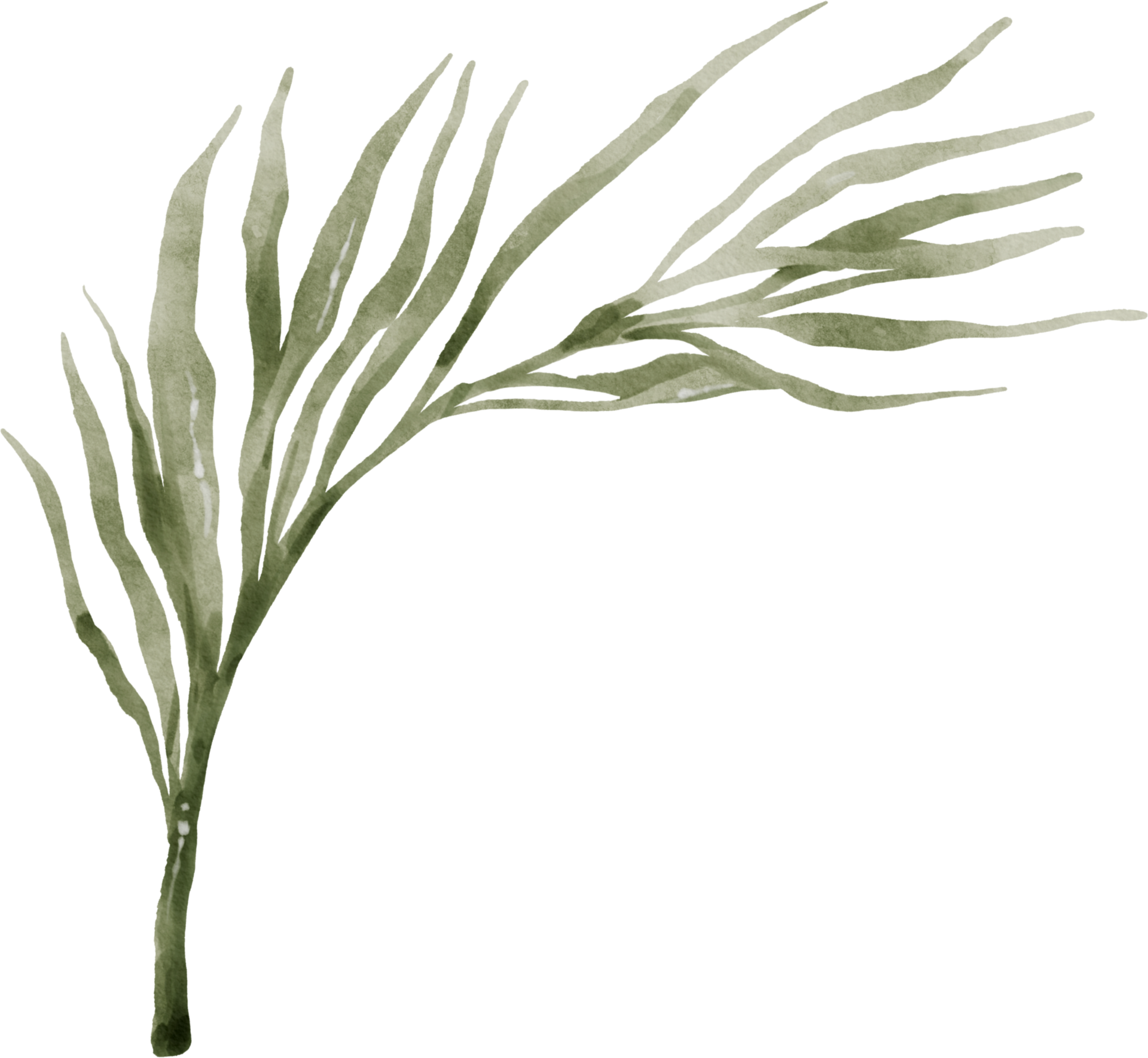 Greenery Leaf Watercolor 9369503 PNG