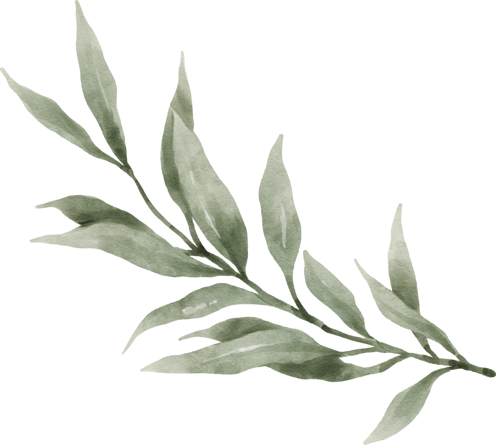 Greenery Leaf Watercolor 9369529 PNG