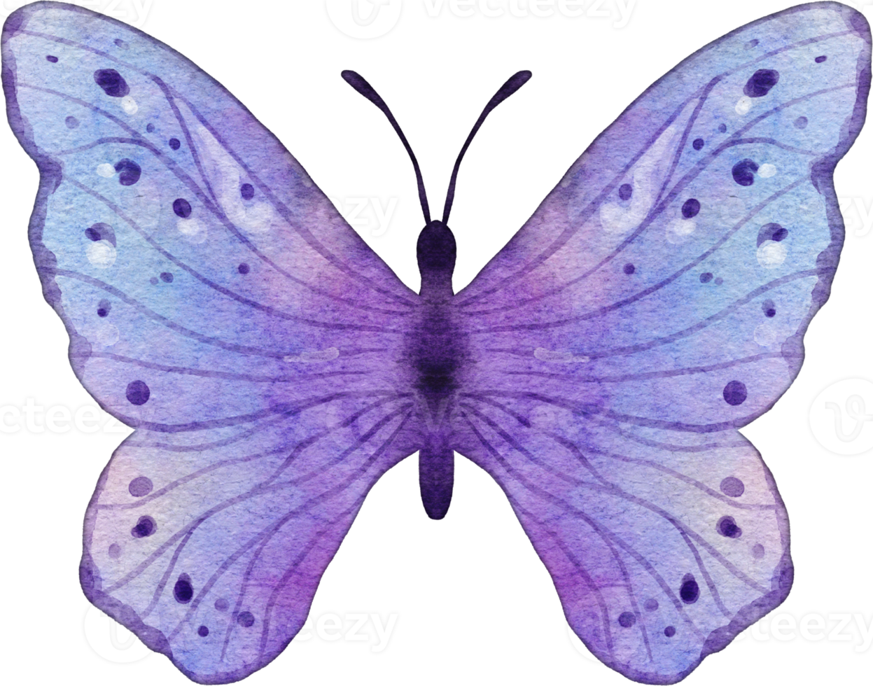 Butterfly Watercolor Illustration png