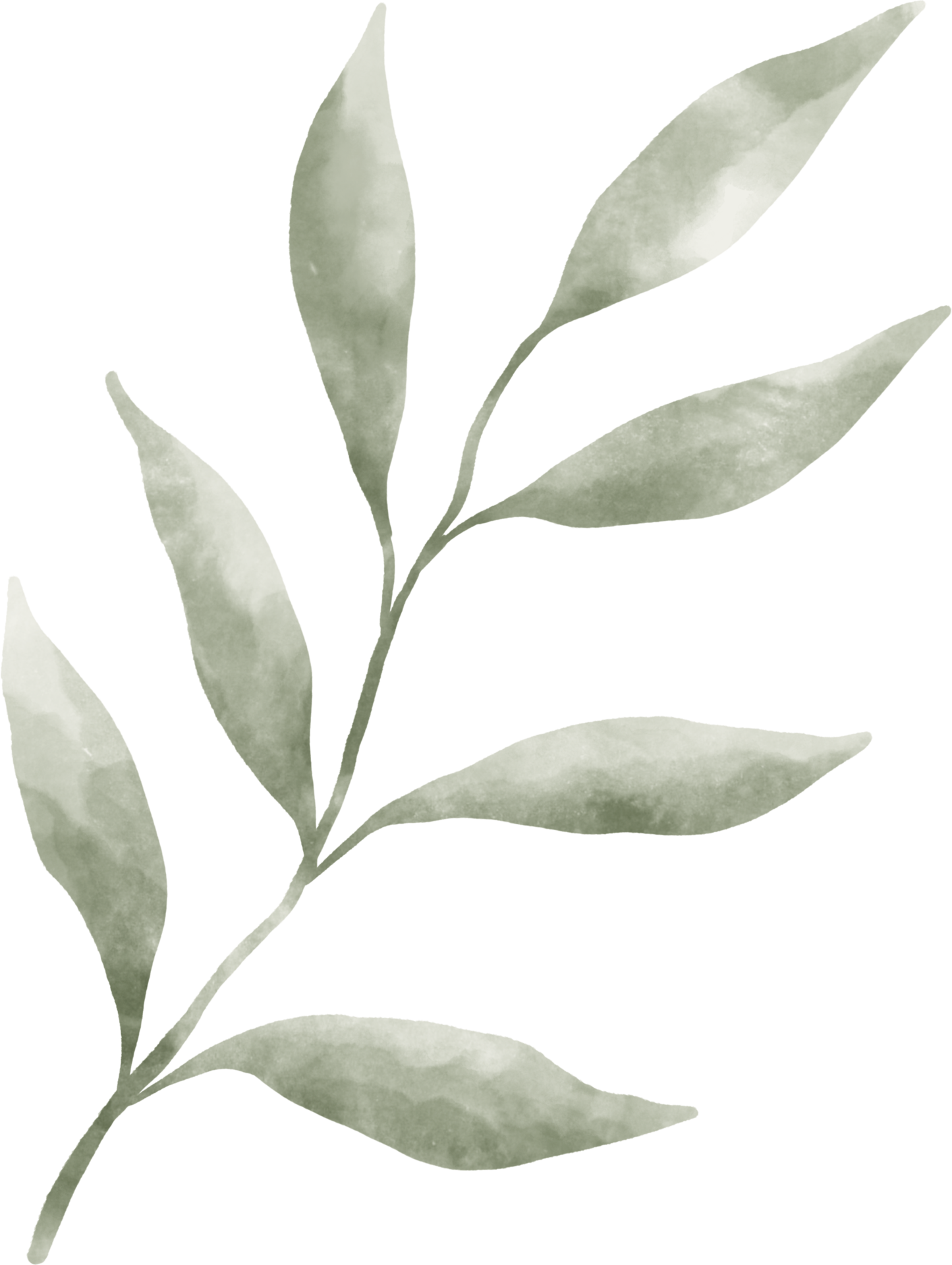 Greenery Leaf Watercolor 9369566 PNG