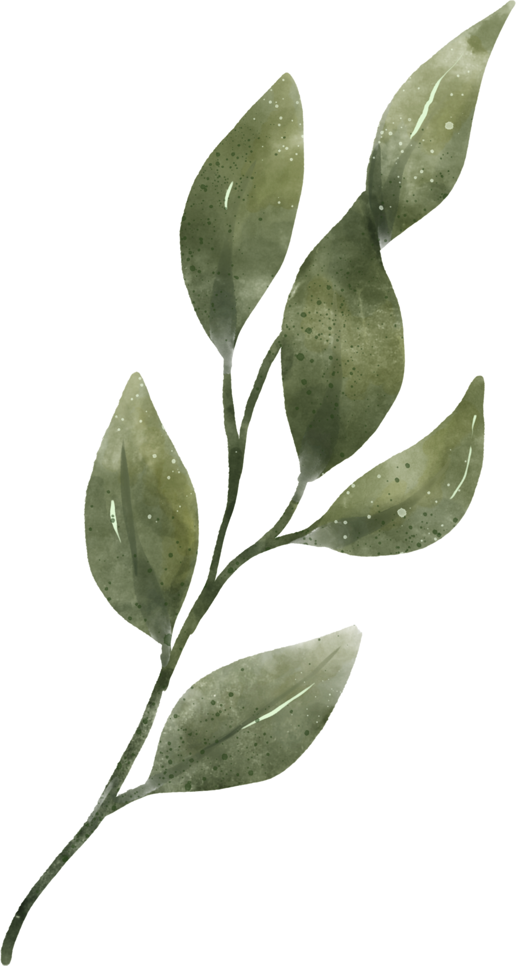 Free Greenery Leaf Watercolor 9369573 PNG with Transparent Background