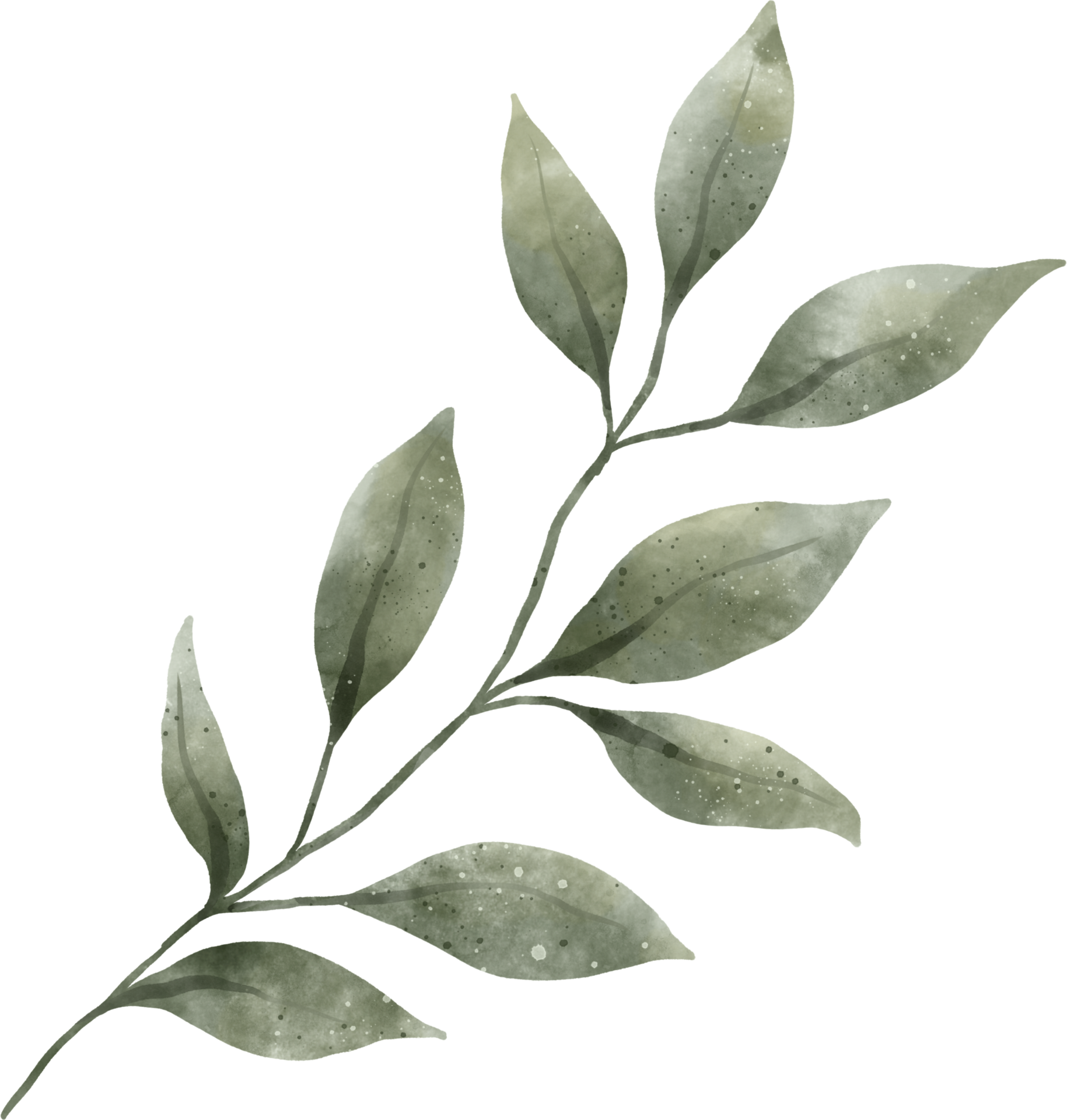 Greenery Leaf Watercolor 9369582 PNG