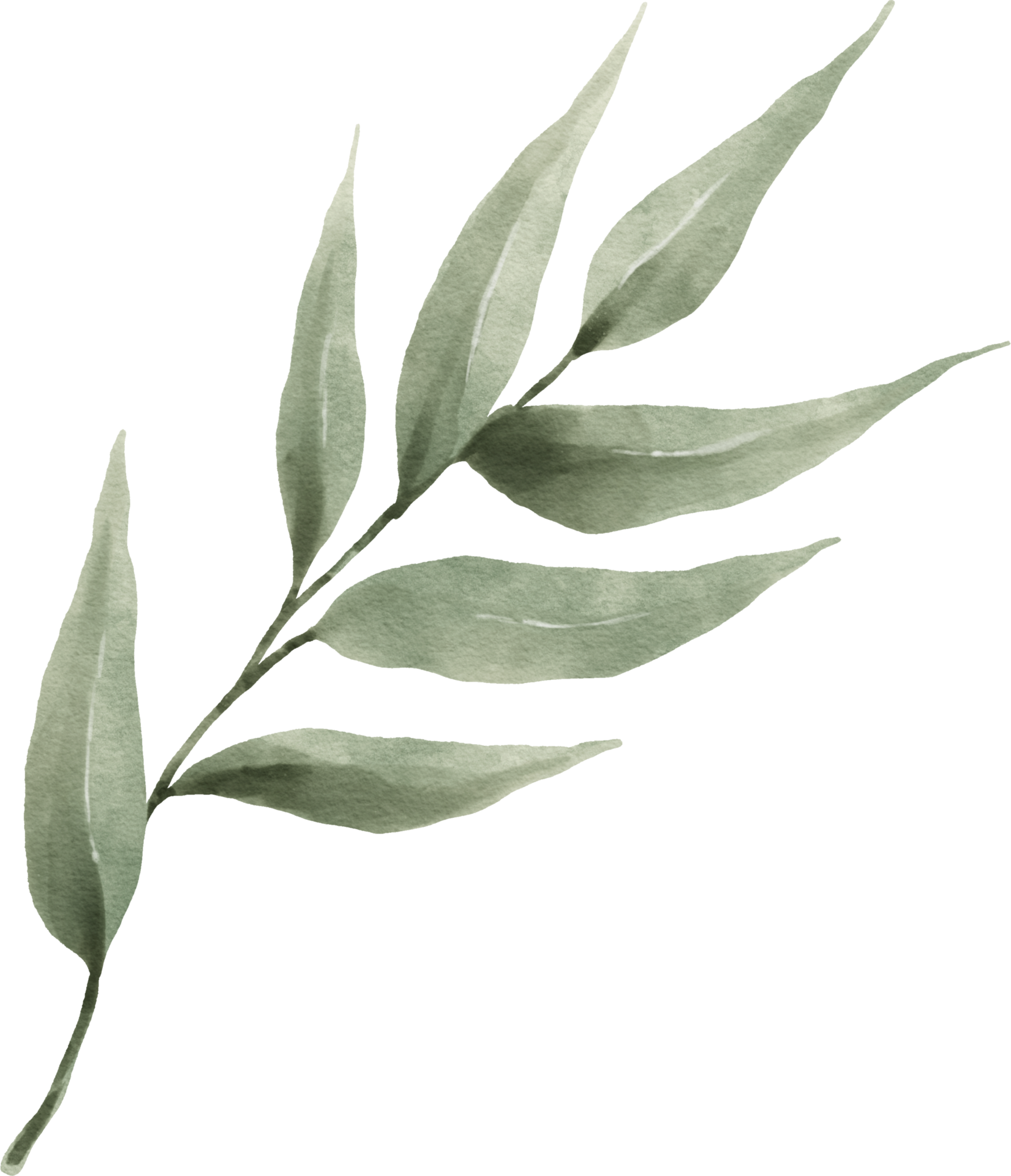 Greenery Leaf Watercolor 9369592 PNG