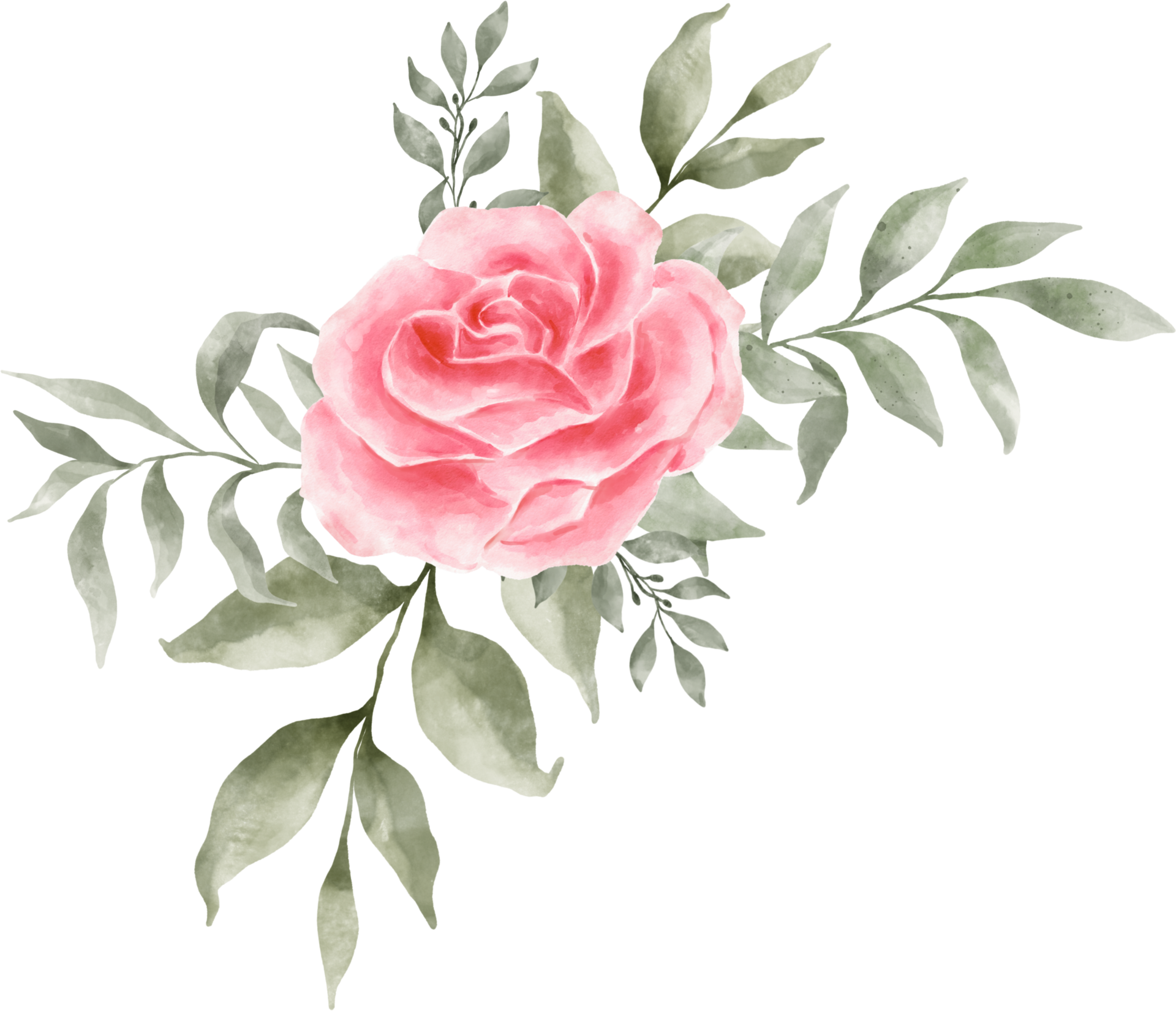 Rosa Flor