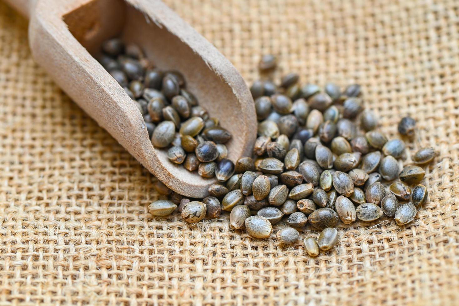 Cannabis seeds in the sack, Hemp seeds , Marijuana seed , cannabis seed on sack with scoop background for planting. THC CBD photo