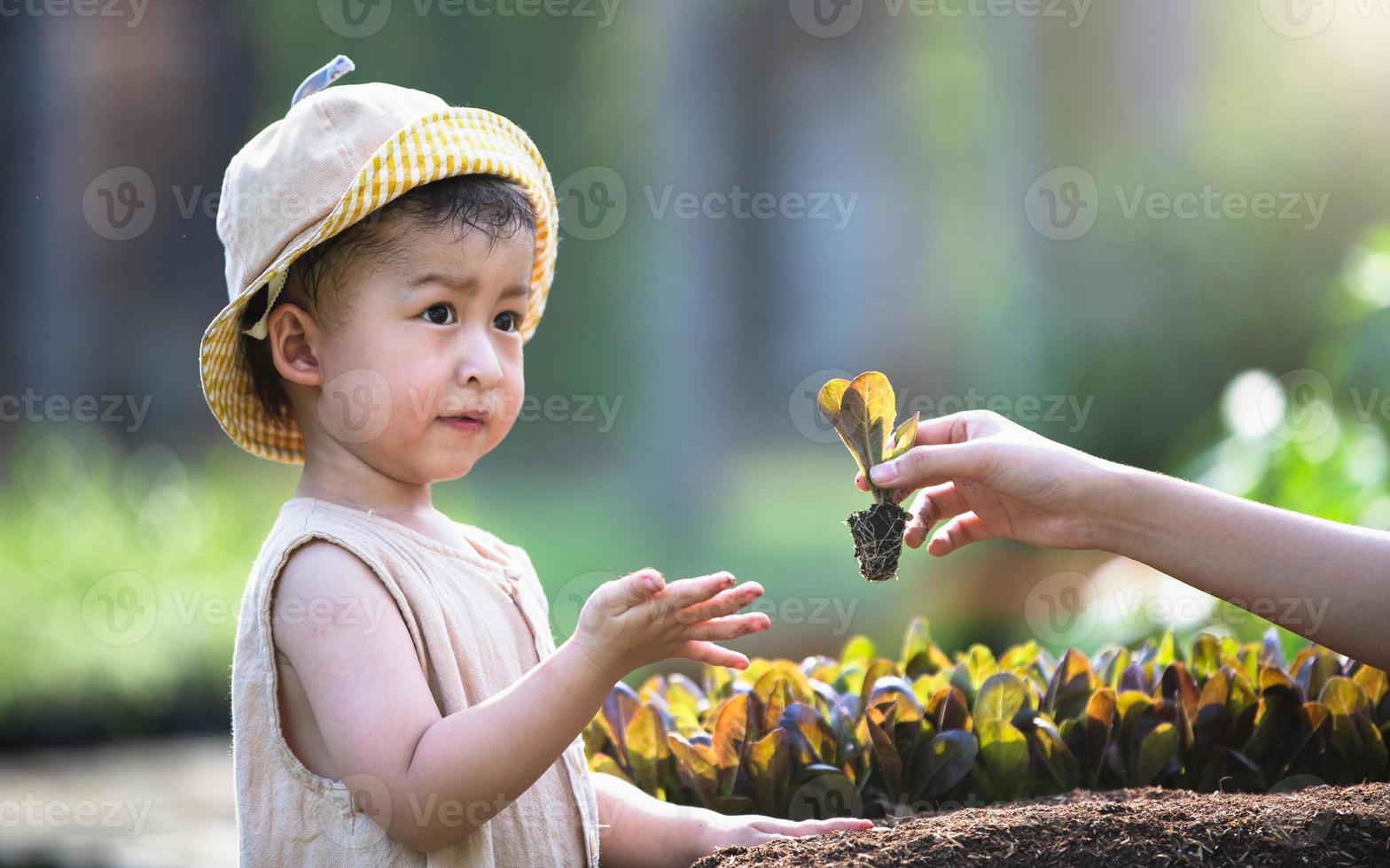 Human hands give saplings to children, environmental protection for the new generation. photo