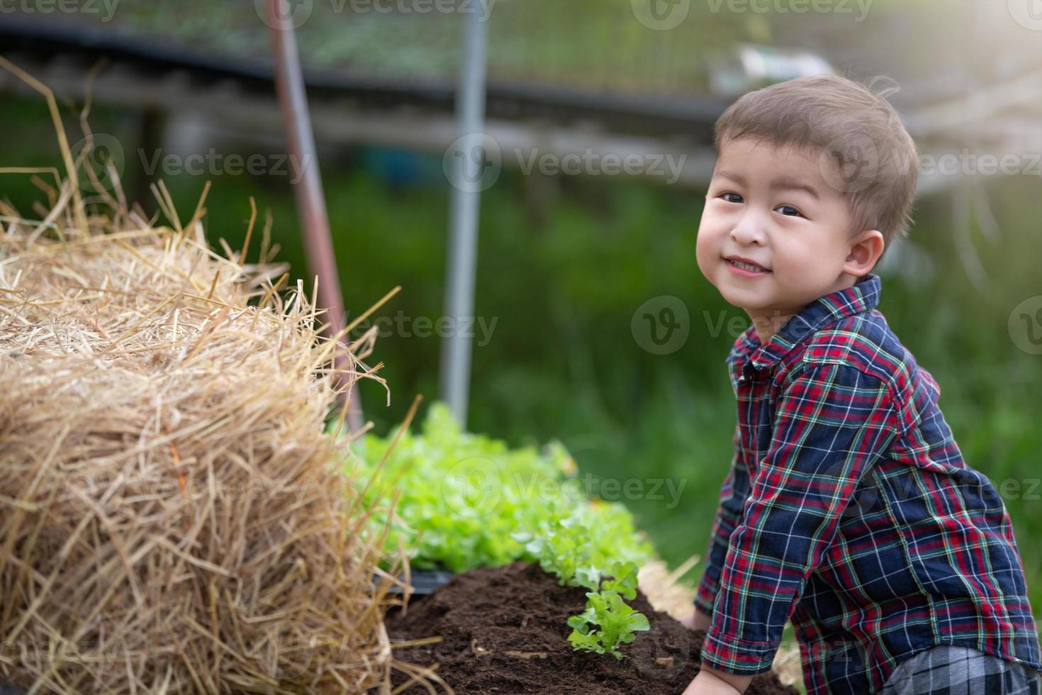 Little farmers live in organic vegetable greenhouses, healthy family lifestyle. Farmer children. photo