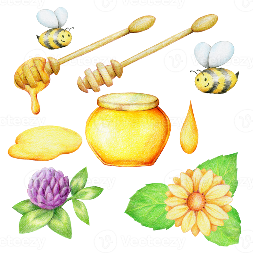 A set of icons from the honey collection, hand-drawn, isolated on a white background png