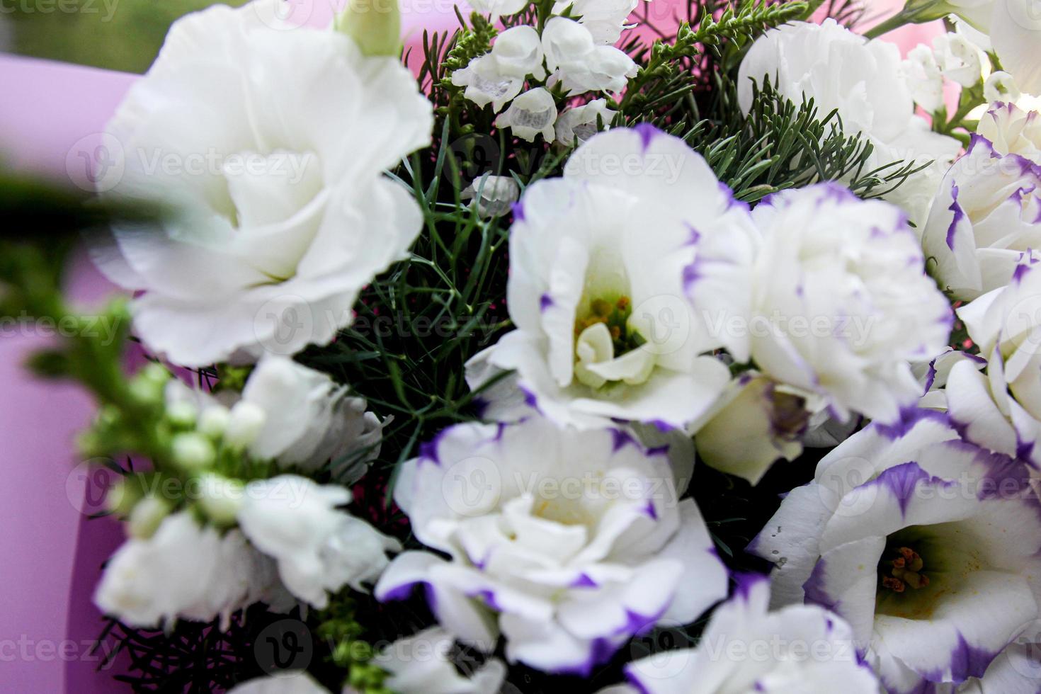 Festive white bouquet of flowers on a green background, a bouquet of pink color, background, flowers are white beautiful photo