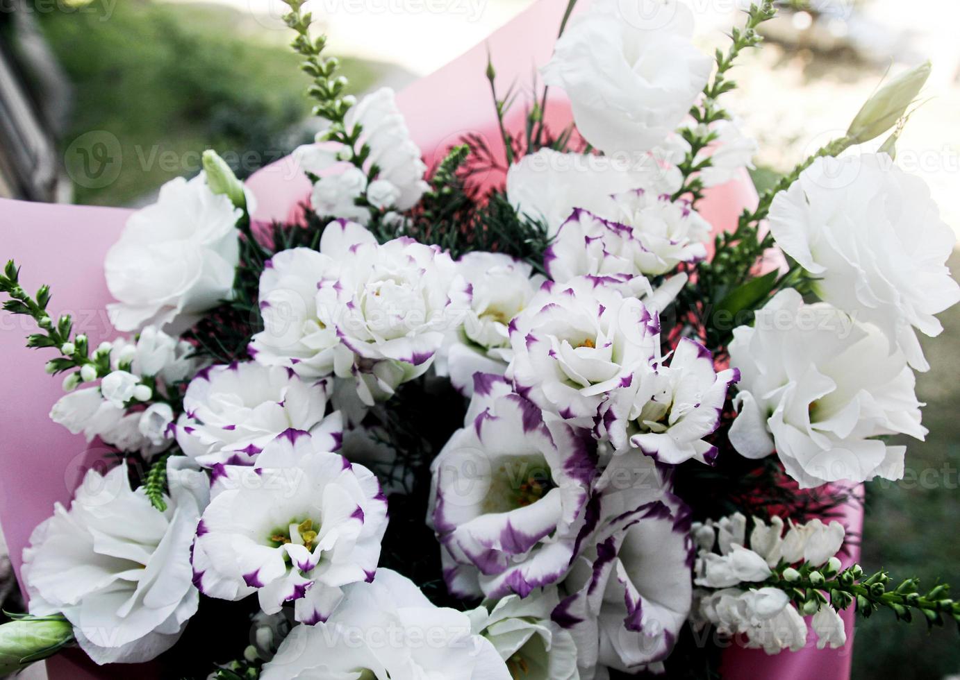 Festive white bouquet of flowers on a green background, a bouquet of pink color, background, flowers are white beautiful photo