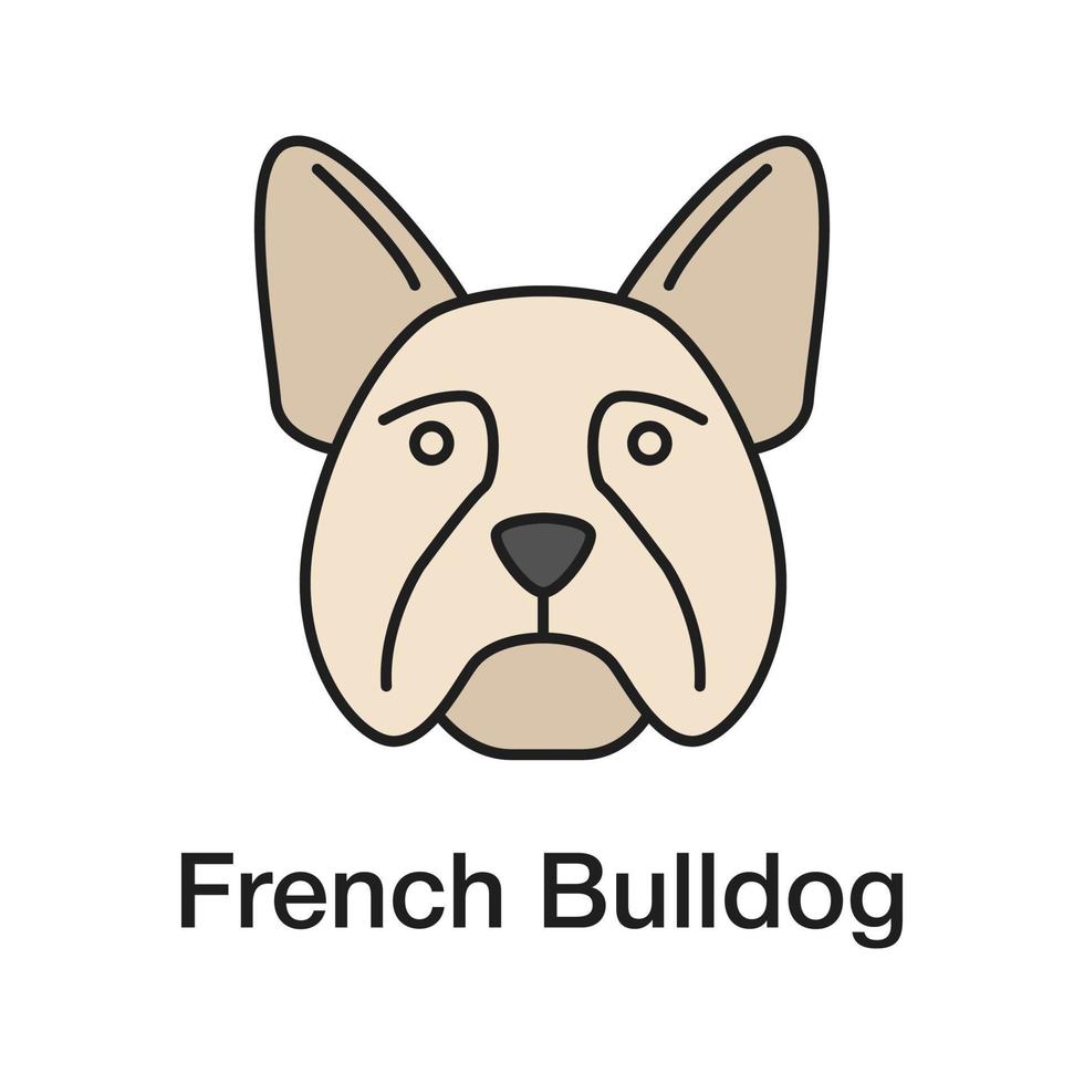 icono de color de bulldog francés. francés raza de perro de utilidad. ilustración vectorial aislada vector