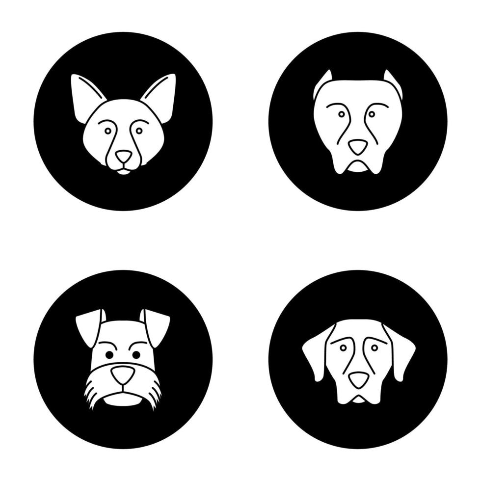 Dogs breeds glyph icons set. Border Collie, pit bull, Miniature Schnauzer, German Shorthaired Pointer. Vector white silhouettes illustrations in black circles