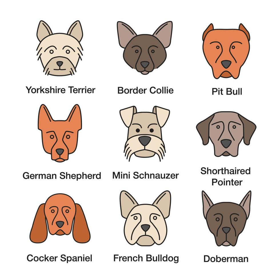 Dogs breeds color icons set. Yorkshire Terrier, German Shepherd, Cocker Spaniel, Border Collie, French Bulldog, pit bull, Doberman Pinscher, Shorthaired Pointer. Isolated vector illustrations