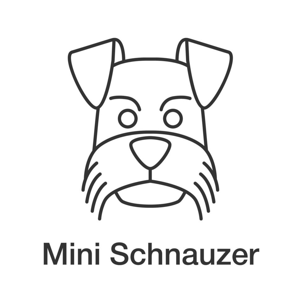 Miniature schnauzer linear icon. Thin line illustration. Zwergschnauzer. Contour symbol. Vector isolated outline drawing