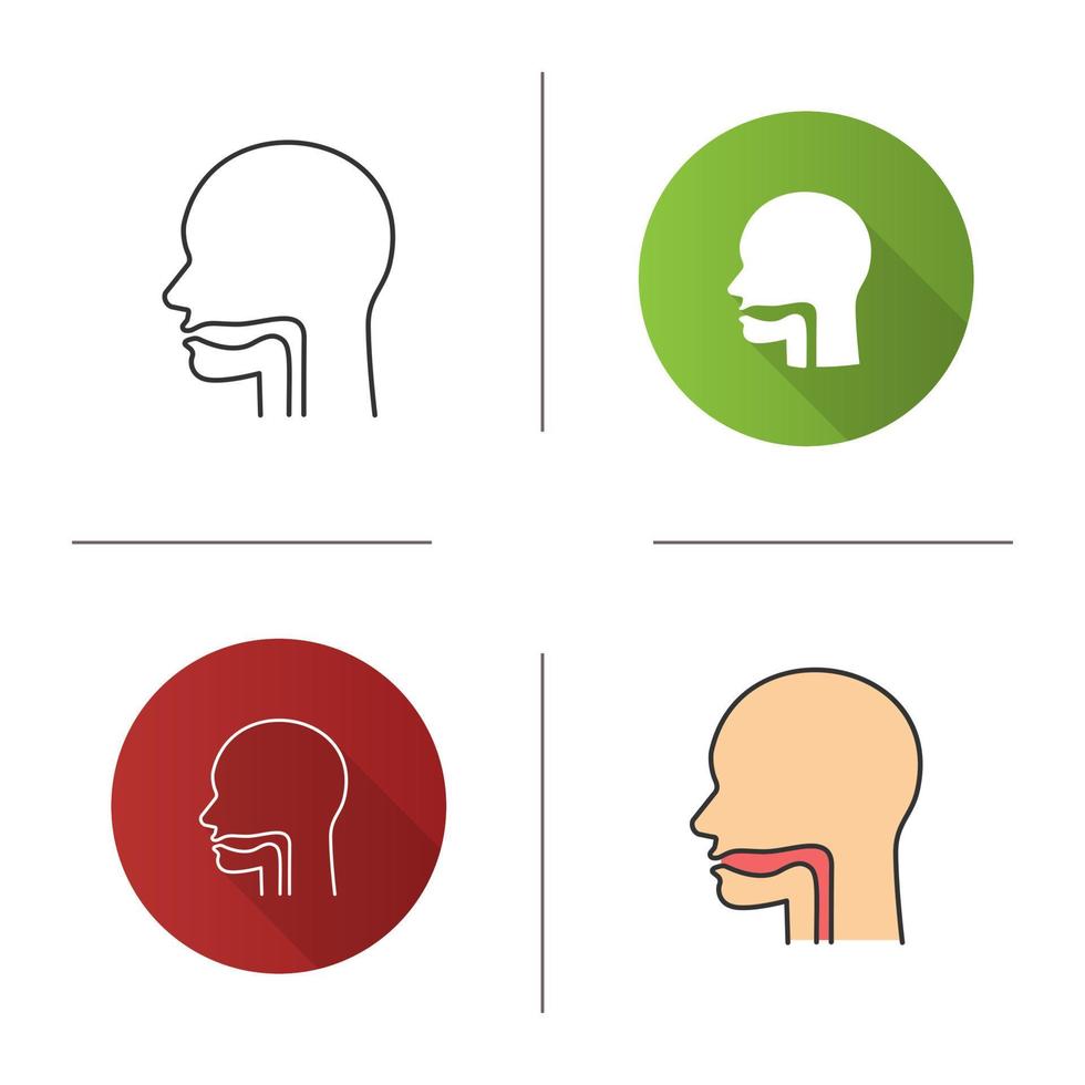 Oral cavity, pharynx and esophagus icon. Upper section of alimentary canal. Flat design, linear and color styles. Isolated vector illustrations