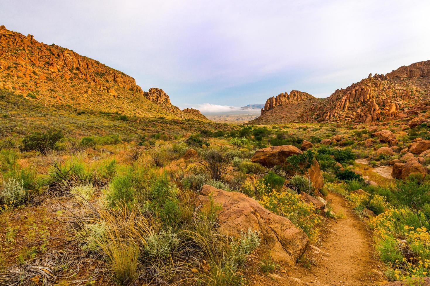 Big Bend National Park photo