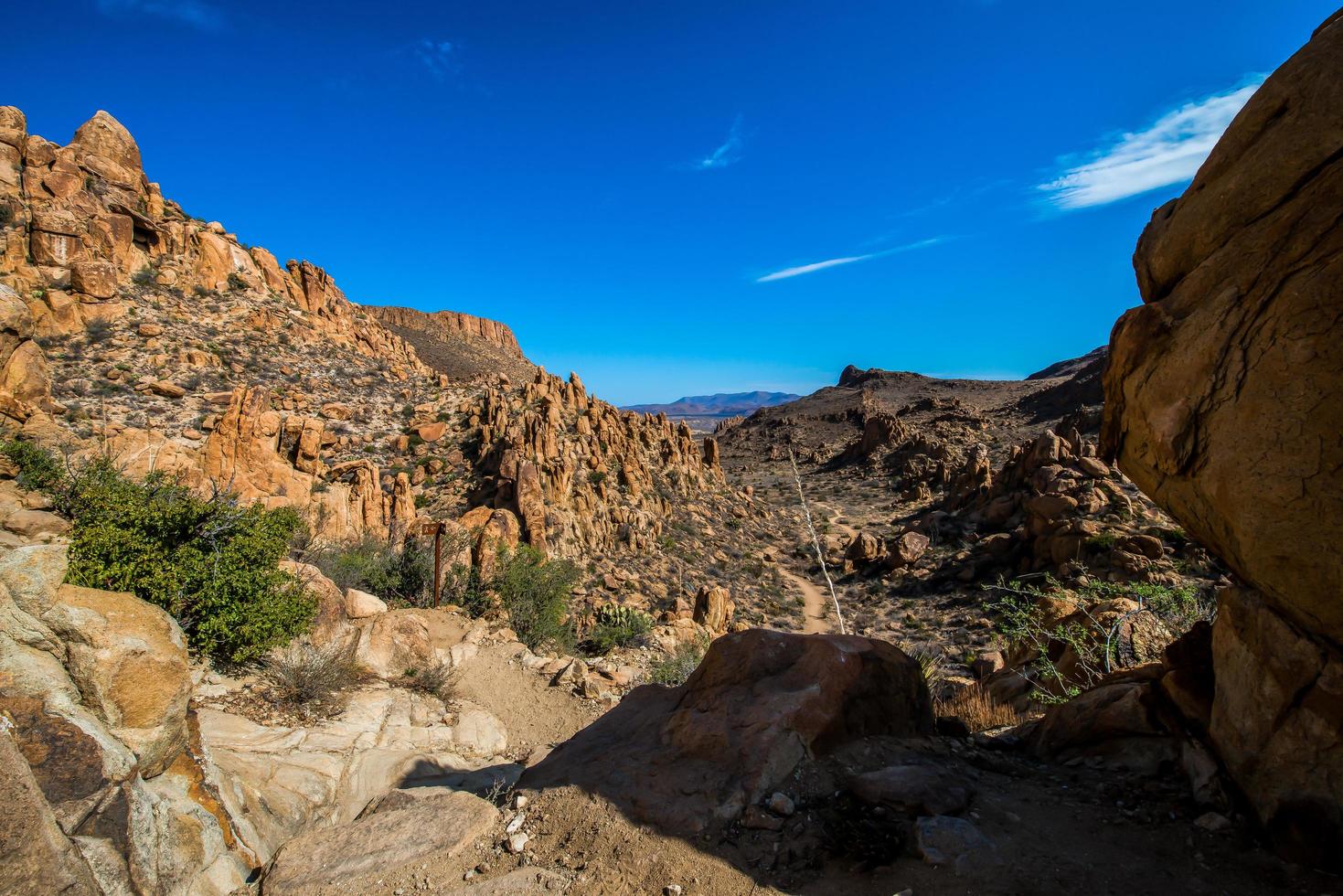 Big Bend National Park Texas photo