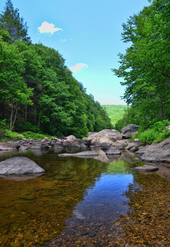 Jamaica State Park, Jamaica, Vermont photo