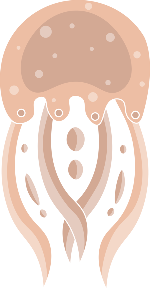 Jellyfish cartoon icon. Isolated cartoon set icon of jellyfish medusa. Illustration jellyfish isolated on white background png