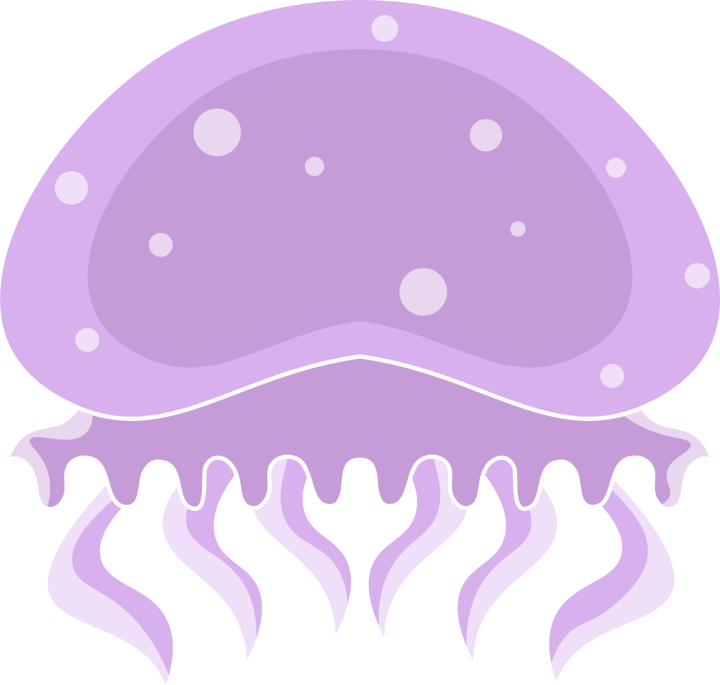 icono de dibujos animados de medusas. conjunto de dibujos animados aislados icono de medusa medusa. ilustración medusas aisladas sobre fondo blanco png