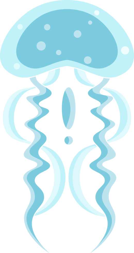 Jellyfish cartoon icon. Isolated cartoon set icon of jellyfish medusa. Illustration jellyfish isolated on white background png