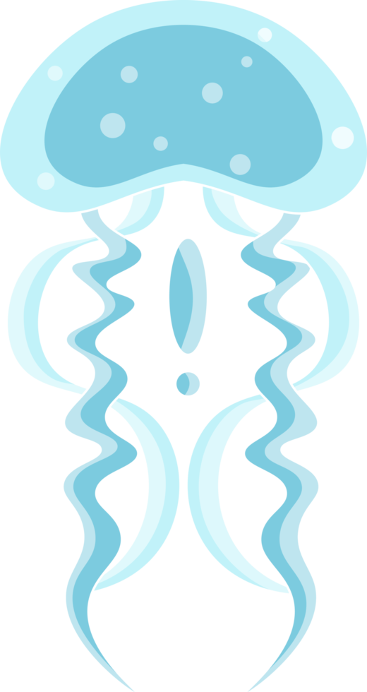 icono de dibujos animados de medusas. conjunto de dibujos animados aislados icono de medusa medusa. ilustración medusas aisladas sobre fondo blanco png