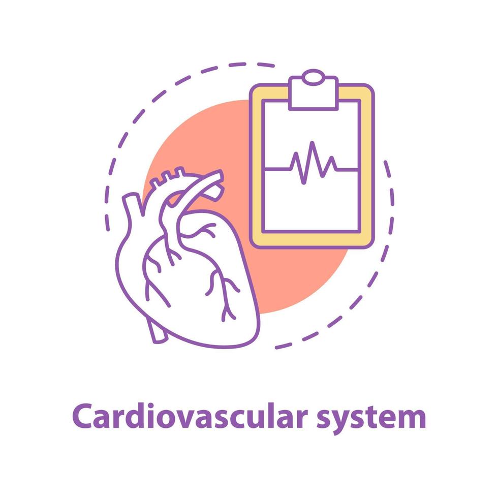 icono del concepto del sistema cardiovascular. idea de cardiología ilustración de línea delgada. cuidado de la salud. anatomía del corazón humano. dibujo de contorno aislado vectorial vector